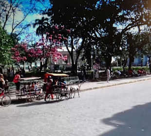 Kinder-Ziegenkutschen in St.Clara