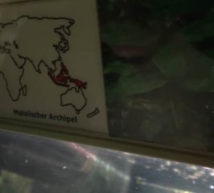 Aquarium
