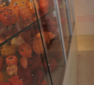 SchweineMuseum