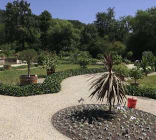 Holländischer Garten