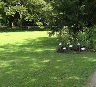 Schifffahrt zur Roseninsel