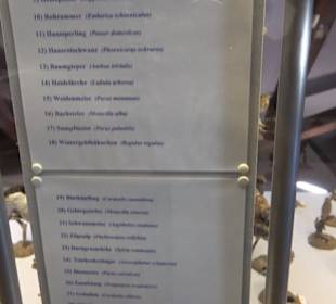 Natur- und Jagdmuseum