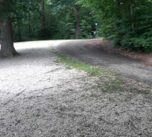 Schutzgebiet Spitzberg, Pfaffenberg