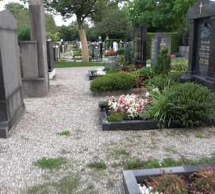 Friedhof St. Martin