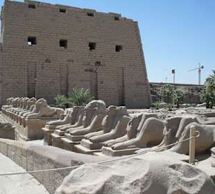 Luxor - Ausgrabungen