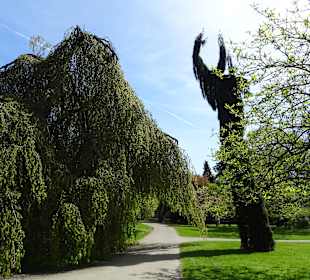 Garten Hohenheim