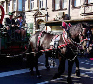 Landjgd.Knoblauchsland  4 Festwagen