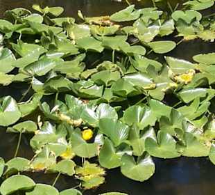 An der kontinentalen Wasserscheide