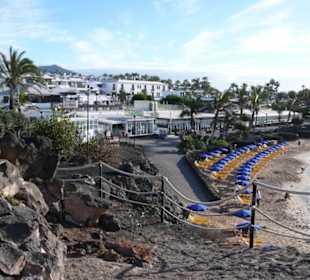 Die Playa Flamingo