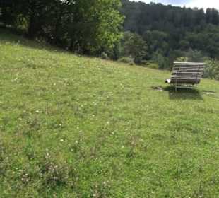 Themenweg Kaiserweg Zimmern