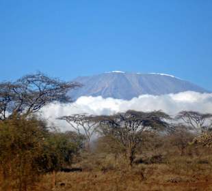 Kilimanjaro