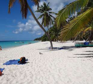 Saona ein Traum um die Seele baumeln zu lassen