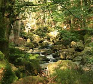 Wildromantische Steinklamm