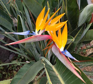 Landschaft von La Gomera