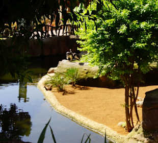 Schöner Stadt Zoo Fuengirola