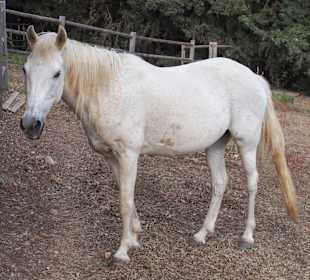 Wandern Georgioupolis