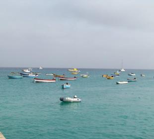 Fischerboote im Hafen