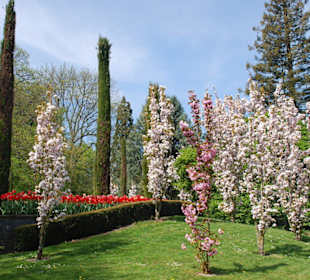 Der Frühling ist da!