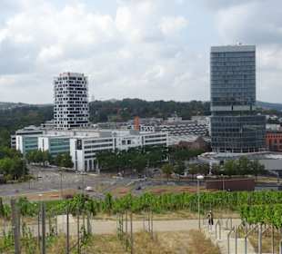 Durch die Weinberge zum Aussichtspunkt