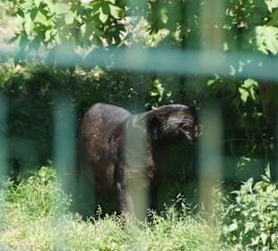 Zoo Arche Noah Grömitz