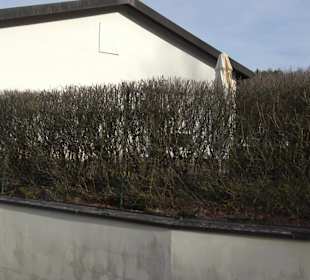 Sportanlage Rübgarten