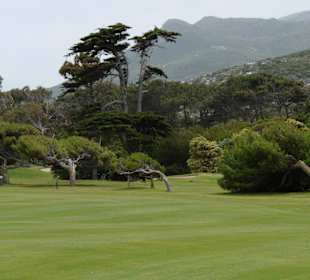 Clovelly Golf Club