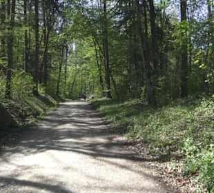 Wanderweg Hochgehwachsen