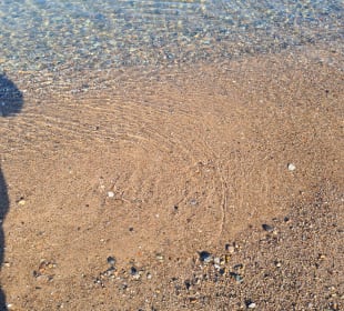 Strand Wangels (Weissenhäuser Strand)