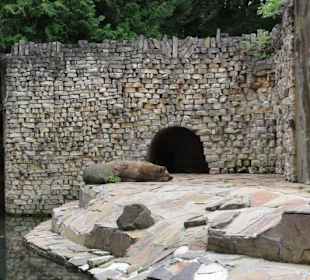 Zoologischer Garten 2016