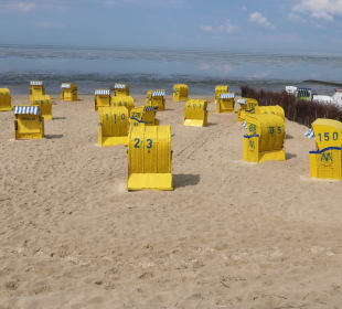 Beim Strand von Döse