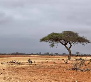 Geführte Touren Robert Safaris Adventure Galu Beach