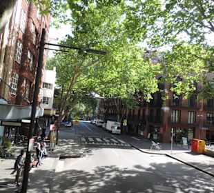 Mit dem Hop-on hop-off Bus in Sydney unterwegs