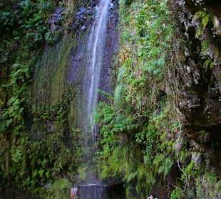 Levada da Janela Wasserfall