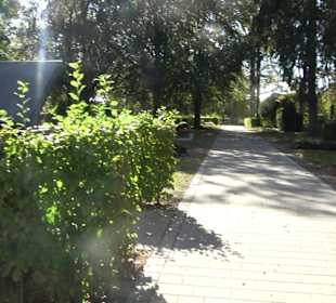 Friedhof Riedlingen