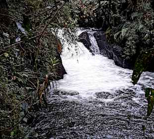 Rundweg „La Isla“ Path