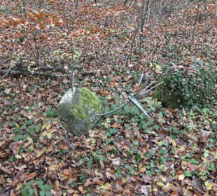 Natursteinpark