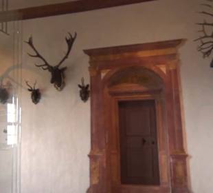 Hasensaal - Schlossmuseum