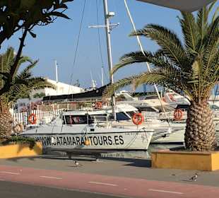 Hafen Caleta de Velez