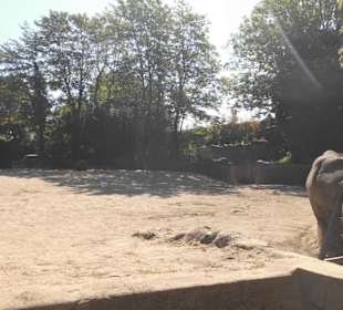 Tierpark Hagenbeck