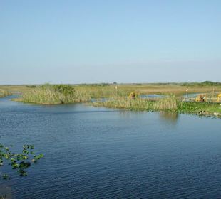 Everglades