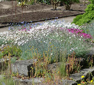Spaziergang durch den Botanischen Garten Bremen