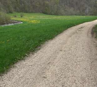 Eiszeitpfad - Burgfelsenpfad