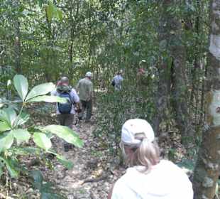 Der Weg zur großen Akropolis