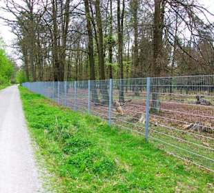 Wildgehege Länge ca.