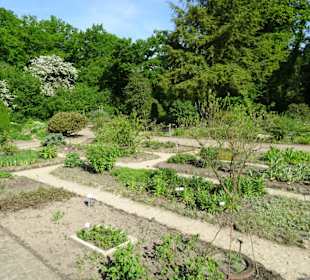 Der Bremer Botanische Garten im Mai