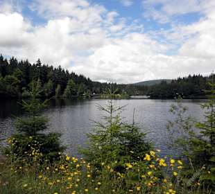 Fichtelsee