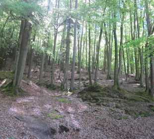 Auf dem Weg zur Queichquelle
