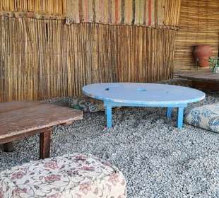 BBQ Dinner - Nighttour powerd by  E-Motion