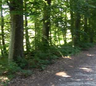 Ameisenlehrpfad Holzelfingen