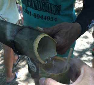 Khao Sok Nationalpark